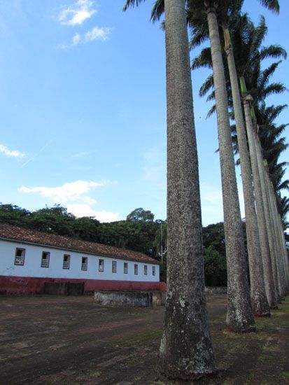 Fazenda do Pinhal