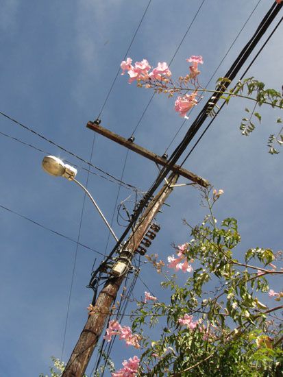 Stromleitungen in Tiradentes