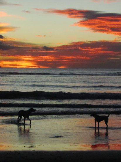 Sonnenuntergang in Jericoacoara