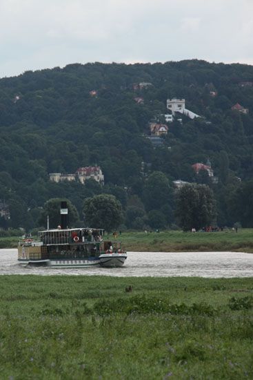 Raddampfer auf der Elbe