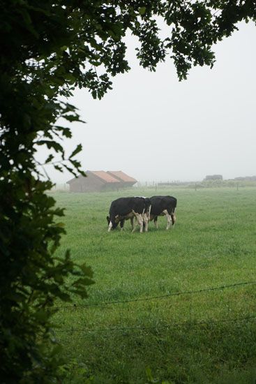 Beim Kloster von Egmond