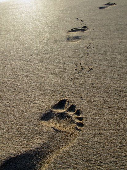 Fußspuren im Sand