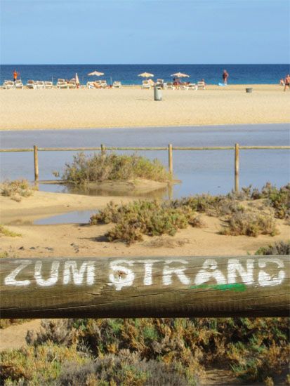 Strand