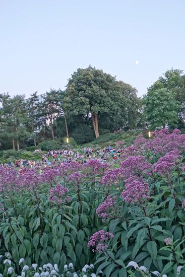 Planten un Blomen