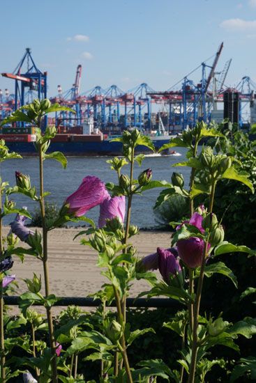 Blick zum Containerterminal