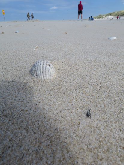 Schoorl aan Zee