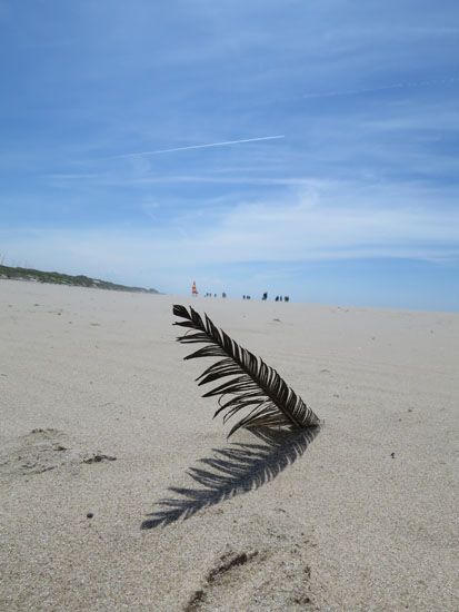 Bergen aan Zee