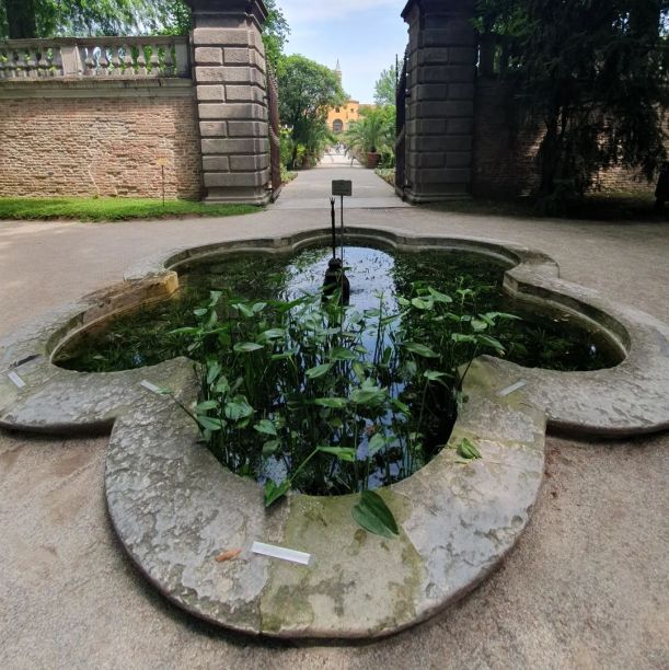 Padua Botanischer Garten