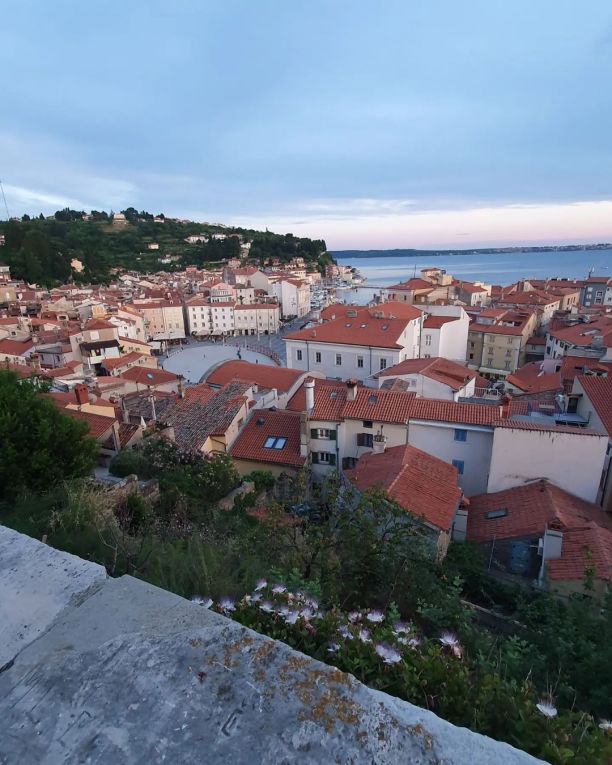 Ausblick auf Piran