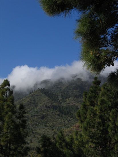 Benchijígua - Wanderung nach Benchijígua