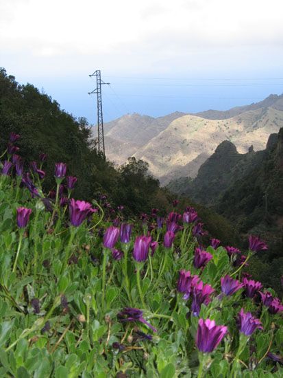 Nationalpark - Wanderung nach El Cedro