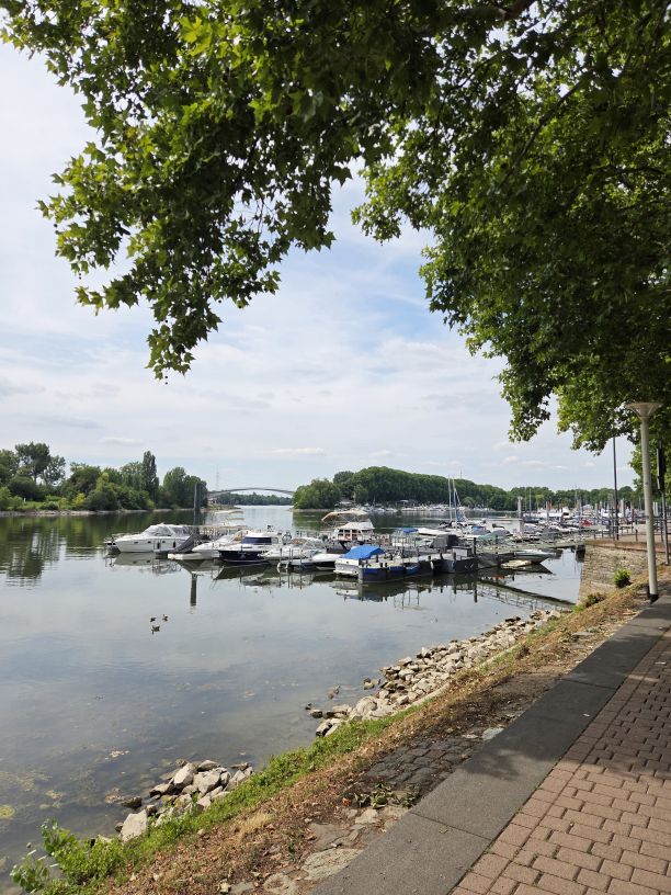 Radtour am Rhein entlang
