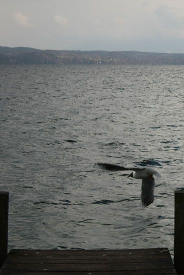 Starnberger See