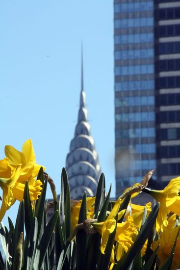 Chrysler-Building