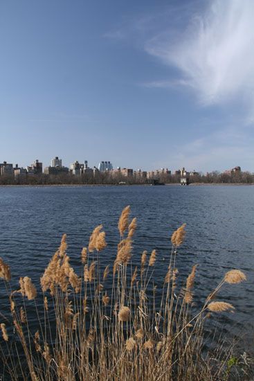 Jacqueline Kennedy Onassis Reservoir im Central Park