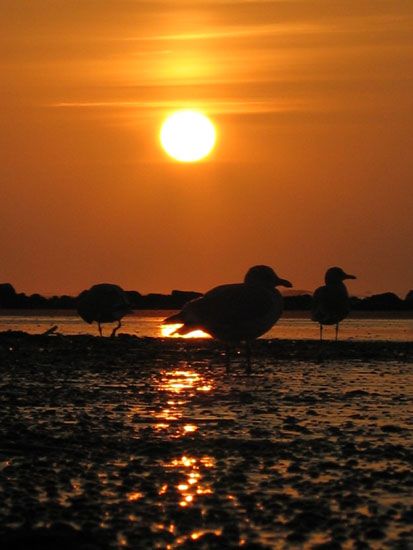 Norderney - Sonnenuntergang