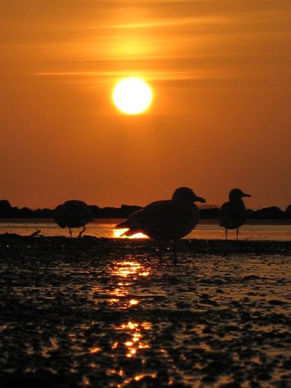 Norderney - Sonnenuntergang