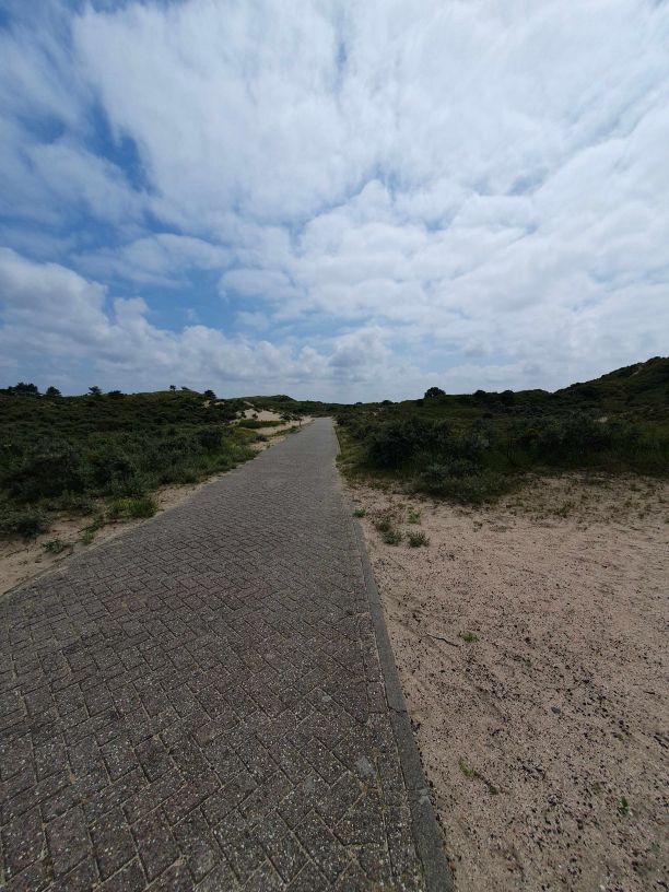 Radweg durch die Dünen