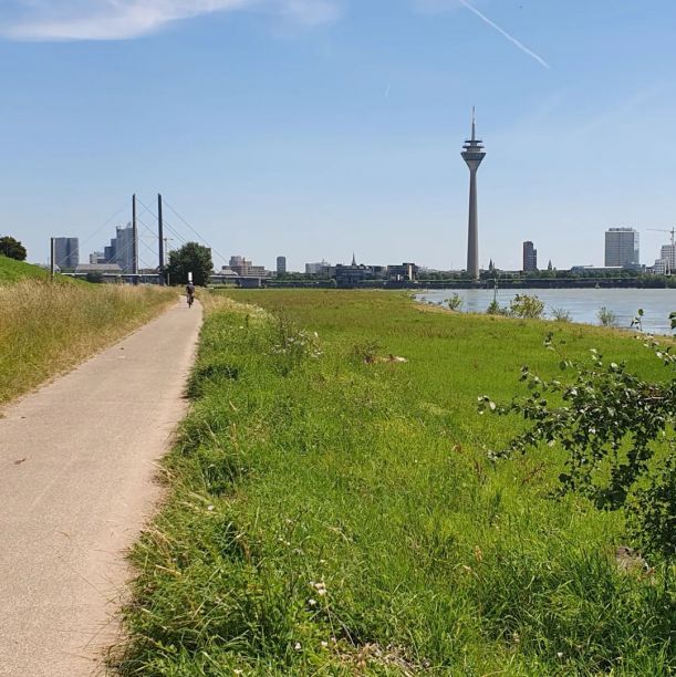 Radweg am Düsseldorfer Rheinufer