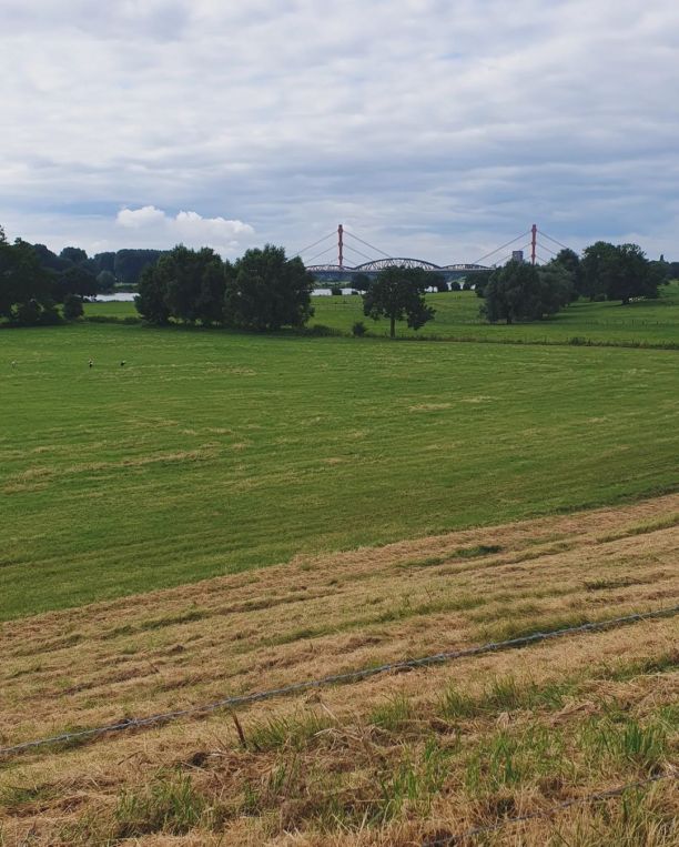 Idylle bei Duisburg