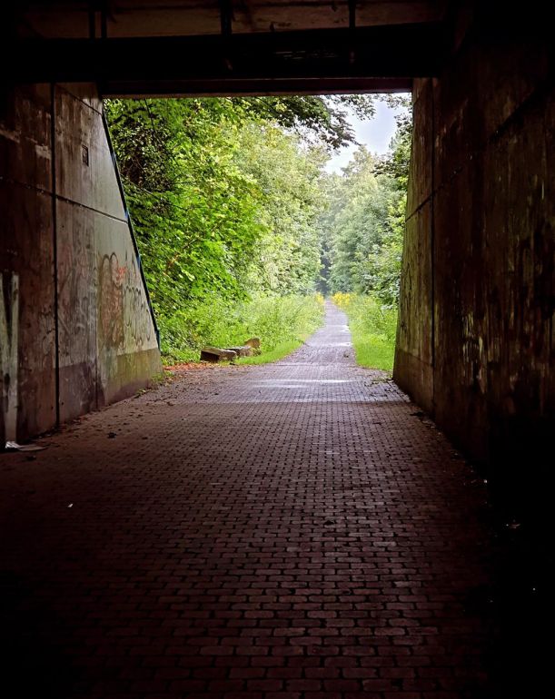 Unterwegs auf dem Rheinradweg