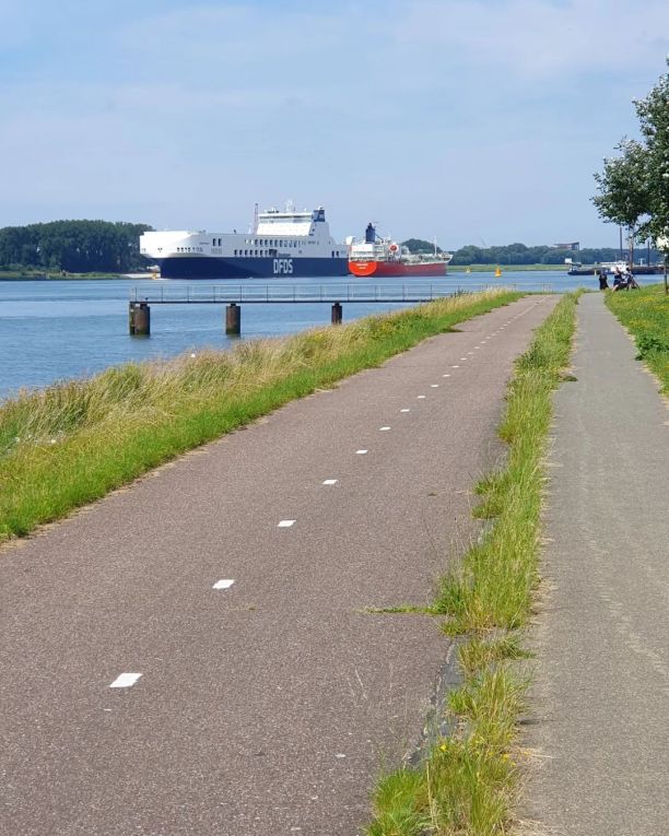Endspurt nach Hoek van Holland