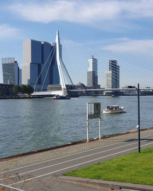 Erasmusbrücke Rotterdam