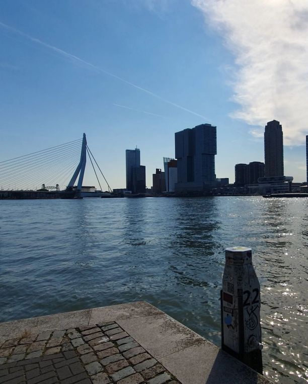 Erasmusbrücke Rotterdam