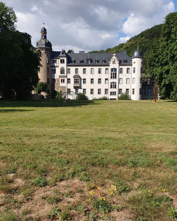 Schloss Burg Namedy