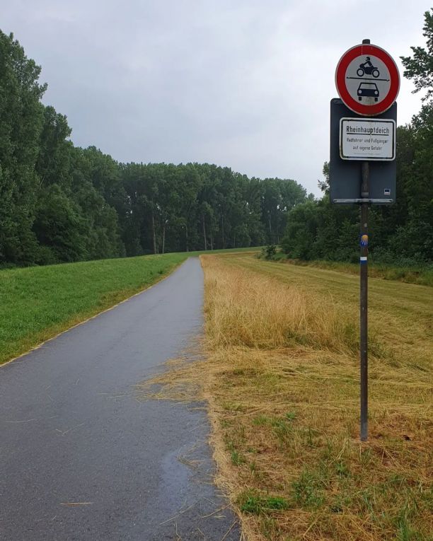 Rheinradweg