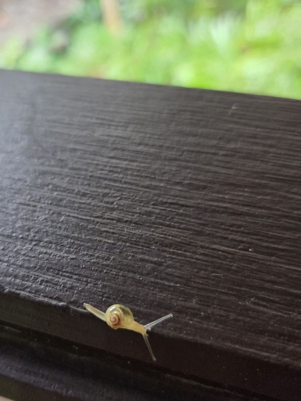 Besuch auf der Terrasse