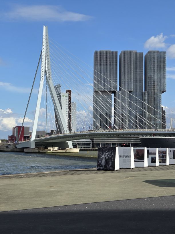 Erasmusbrücke