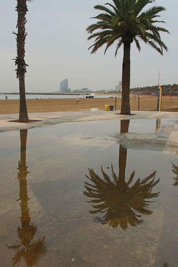 Am Strand von Barceloneta