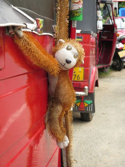 Tierisches Maskottchen eines Tuk-Tuk Fahrers