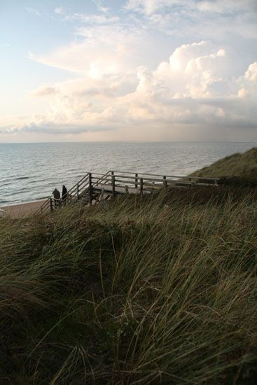 Dünen auf Sylt