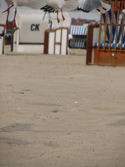 Am Strand von Ahlbeck