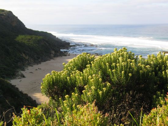 Great Ocean Road