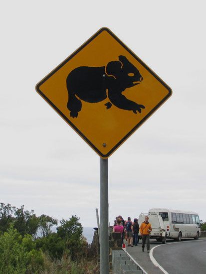 Great Ocean Road