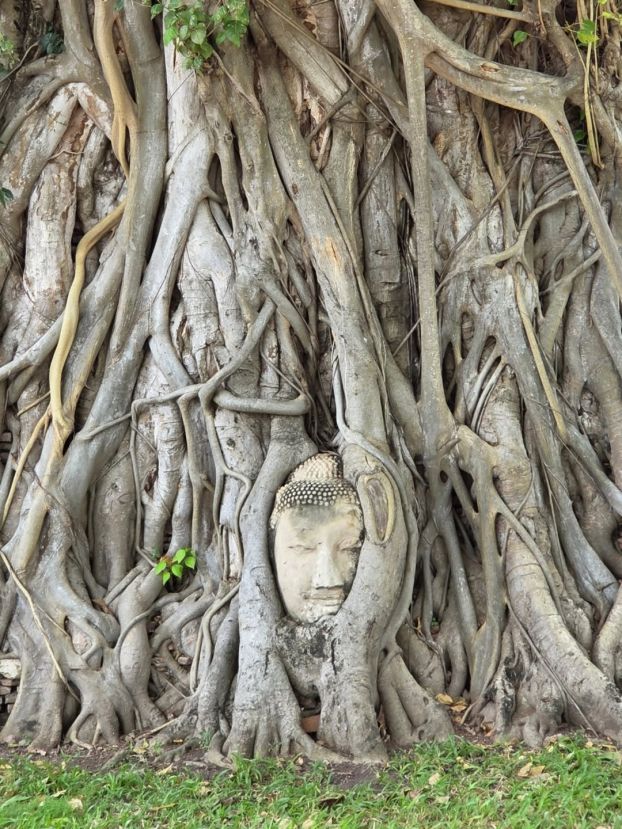 Ayutthaya -  Buddha-Kopf