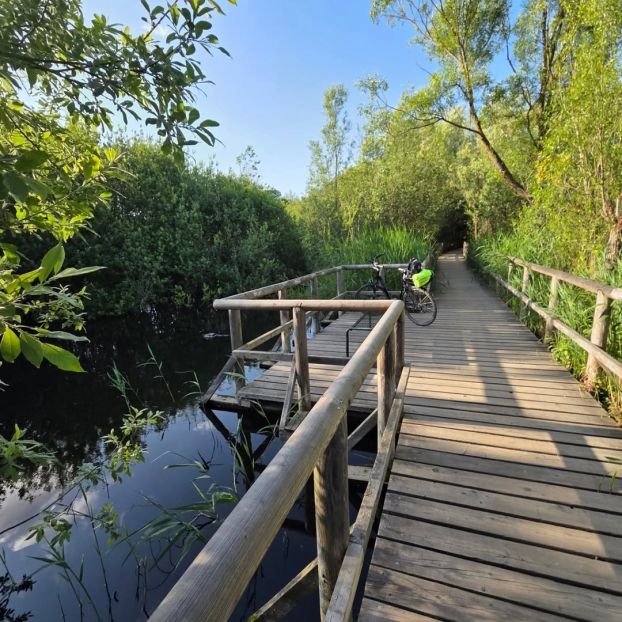 Radtour durch den Müritz Nationalpark