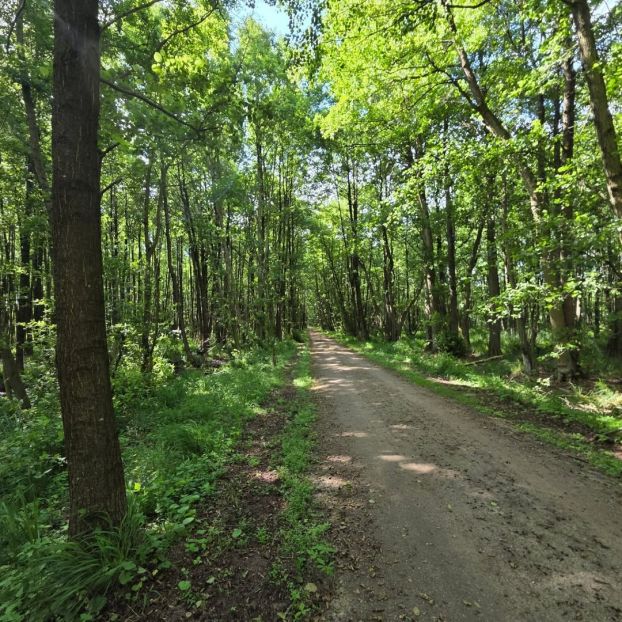 Mit dem Rad im Müritz Nationalpark