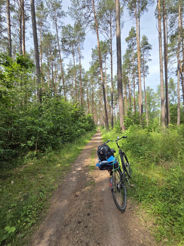 Radtour im Müritz Nationalpark