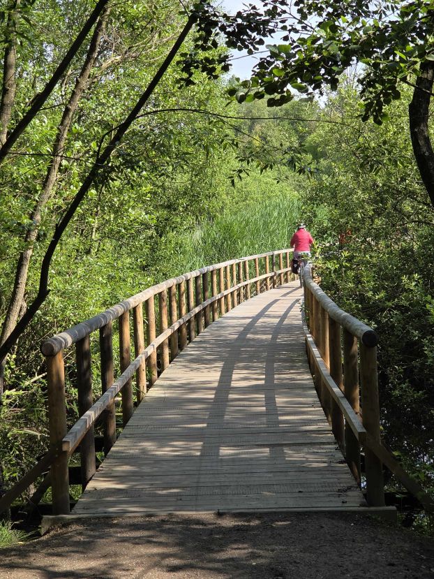 Mit dem Rad im Müritz Nationalpark