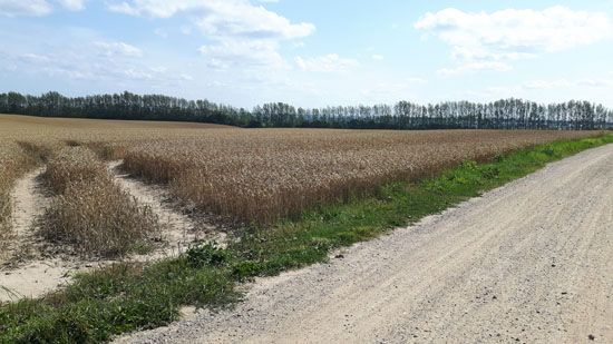 Boltenhagen - Juli 2019