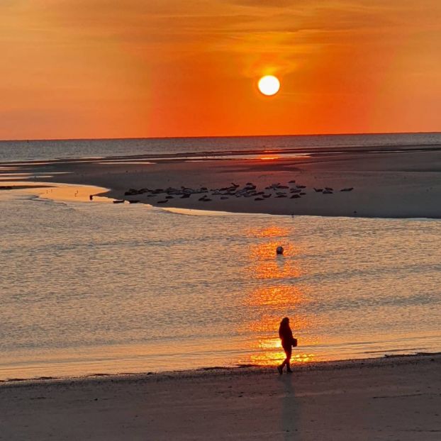 Borkum - September 2020