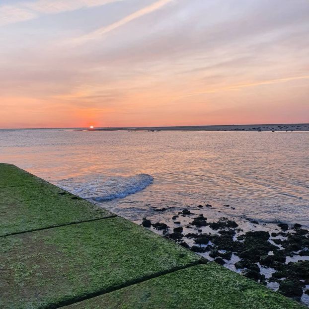 Borkum - September 2020