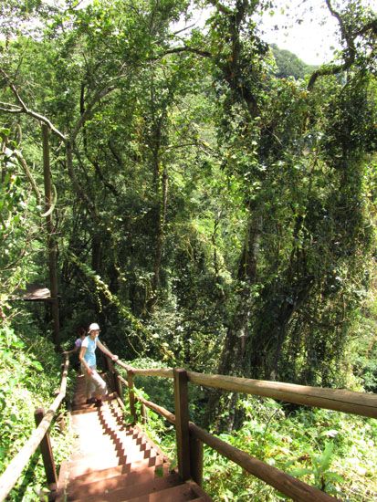 Abstieg zum Fuß der Cachoeira Saltão