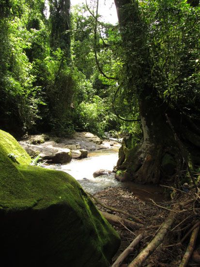 Weg in der Schlucht beim Cachoeira Saltão