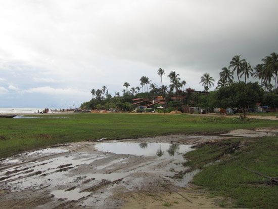 Jericoacoara