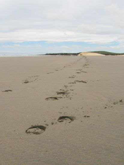 Jericoacoara